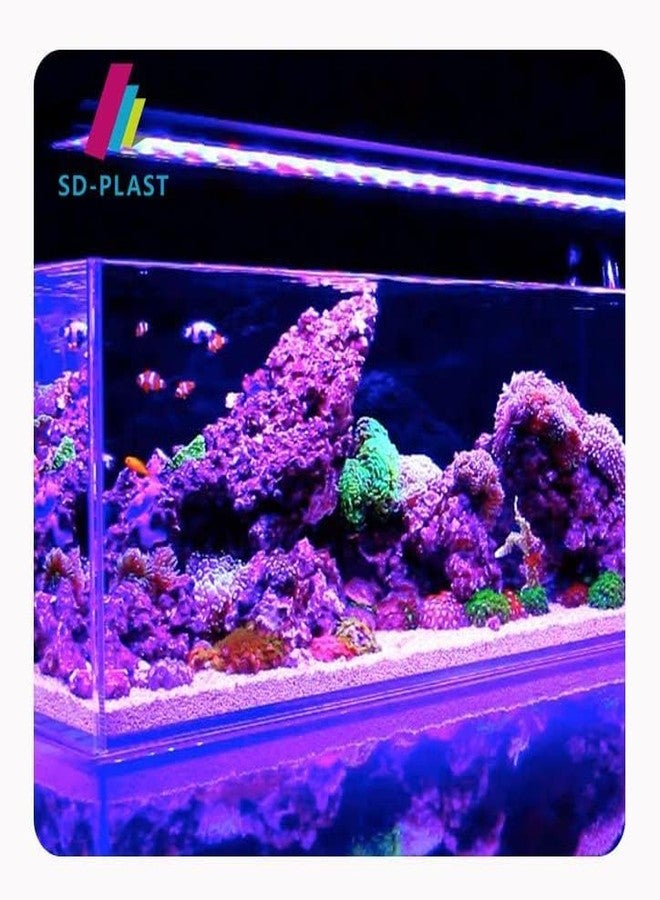 VAYINATO® 5Kg Aroganite Base Natural White Sand Suitable for Marine and Cichlid Tank by Petzlifeworld - Image 4